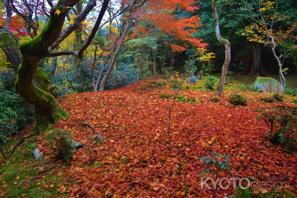 敷き紅葉　詩仙堂