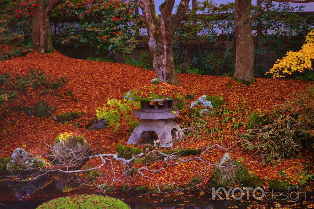 敷き紅葉　泉涌寺