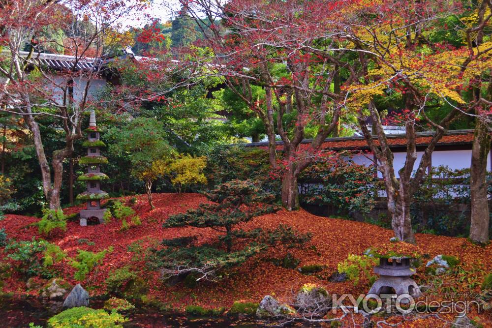 晩秋の御座所庭園　敷き紅葉　