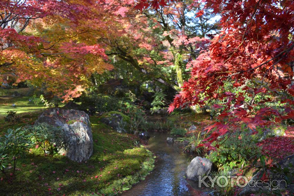 朝日に紅く輝く