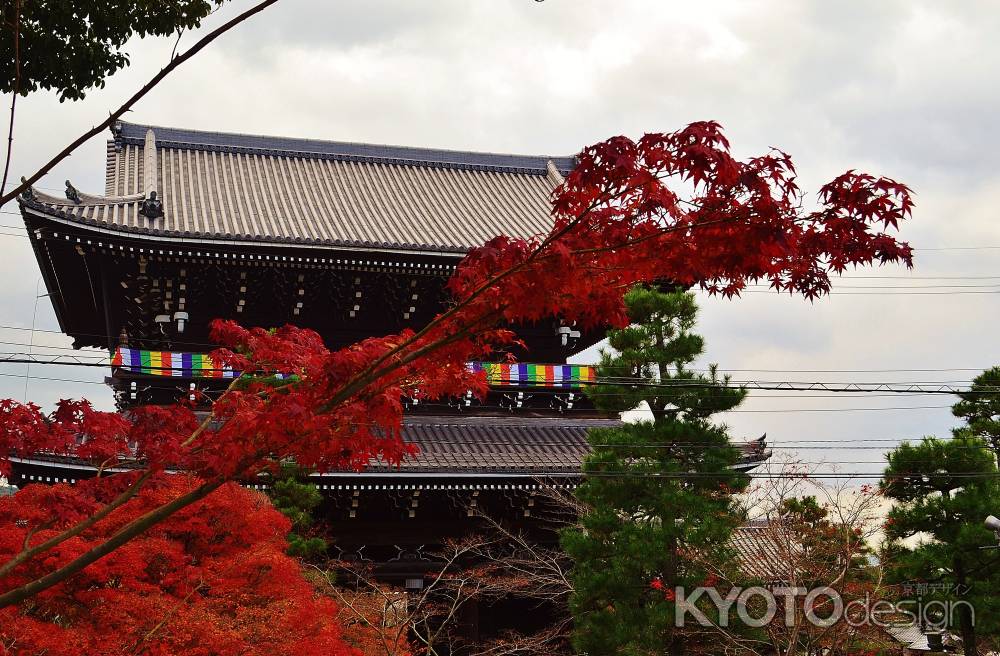 山門と紅葉　金戒光明寺