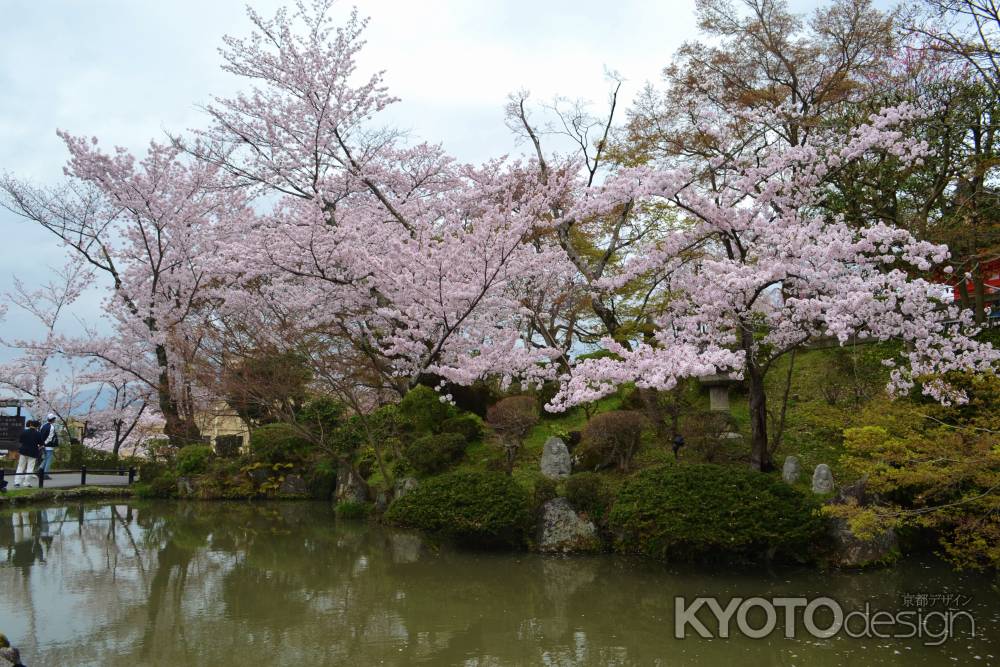 春爛漫　清水にて