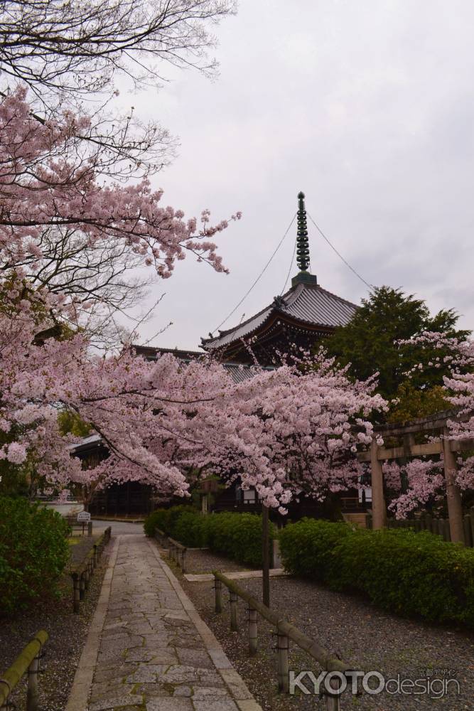 本法寺参道