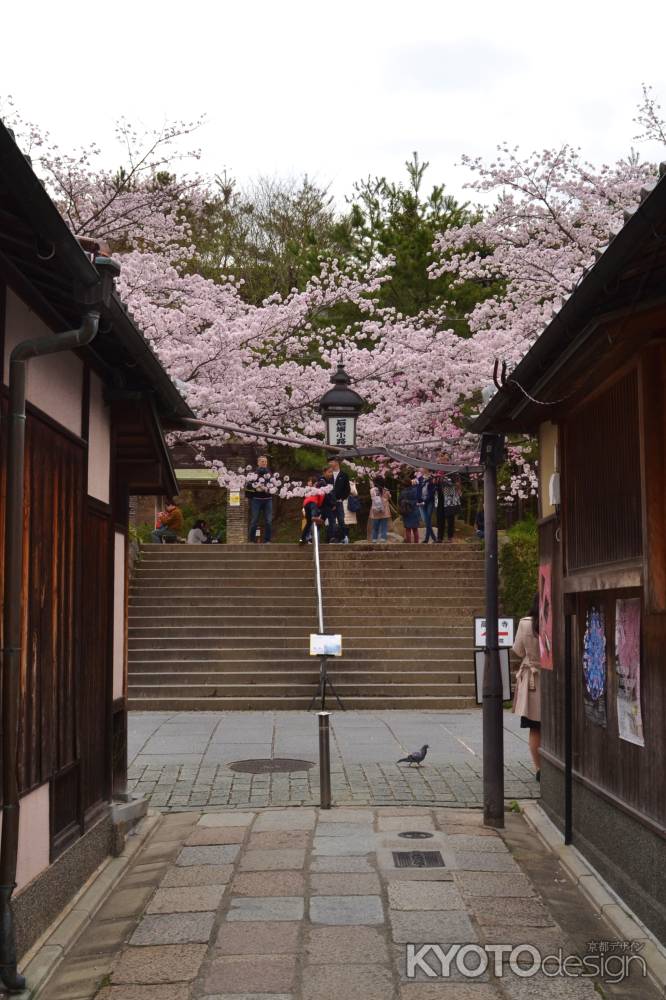 春の石塀小路