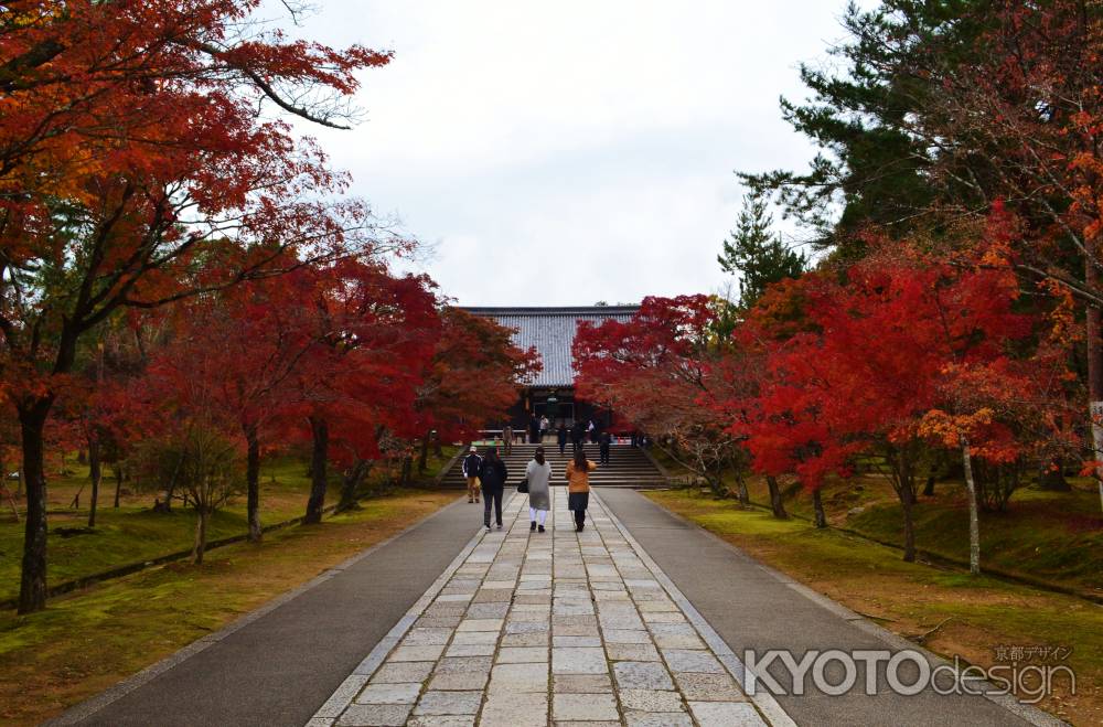 紅葉の参道を歩く　仁和寺