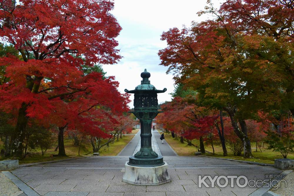 仁和寺の紅葉