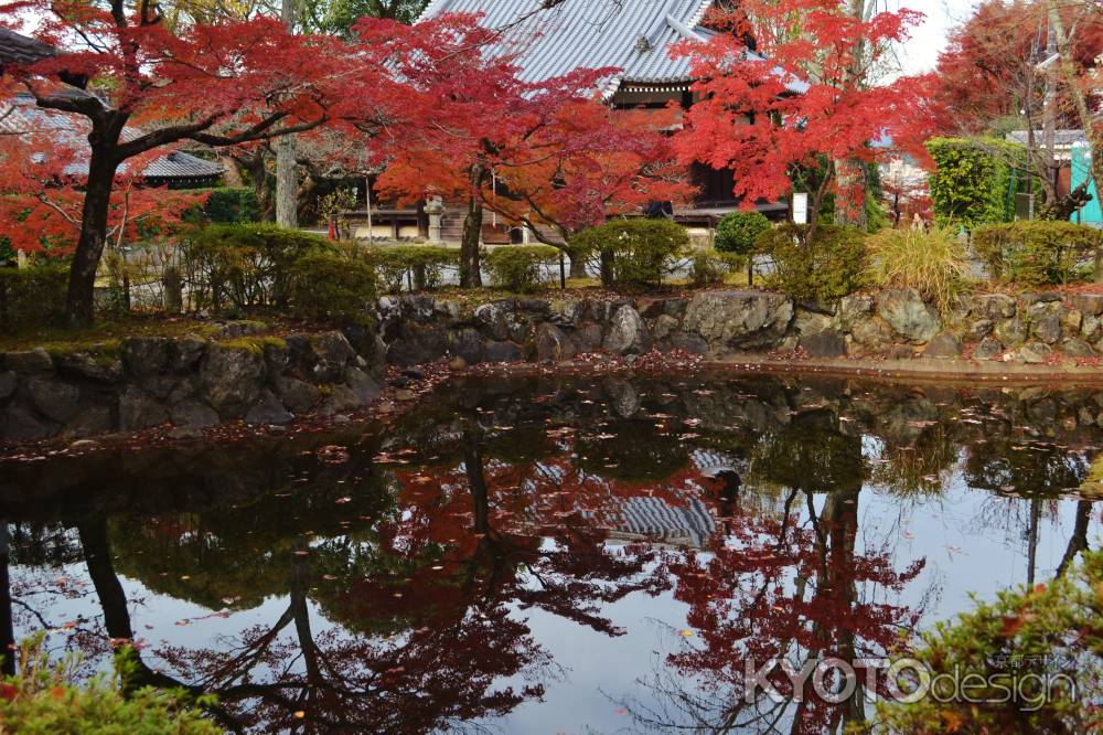 池と紅葉　真如堂