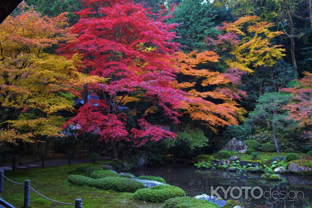 紅のグラデーション