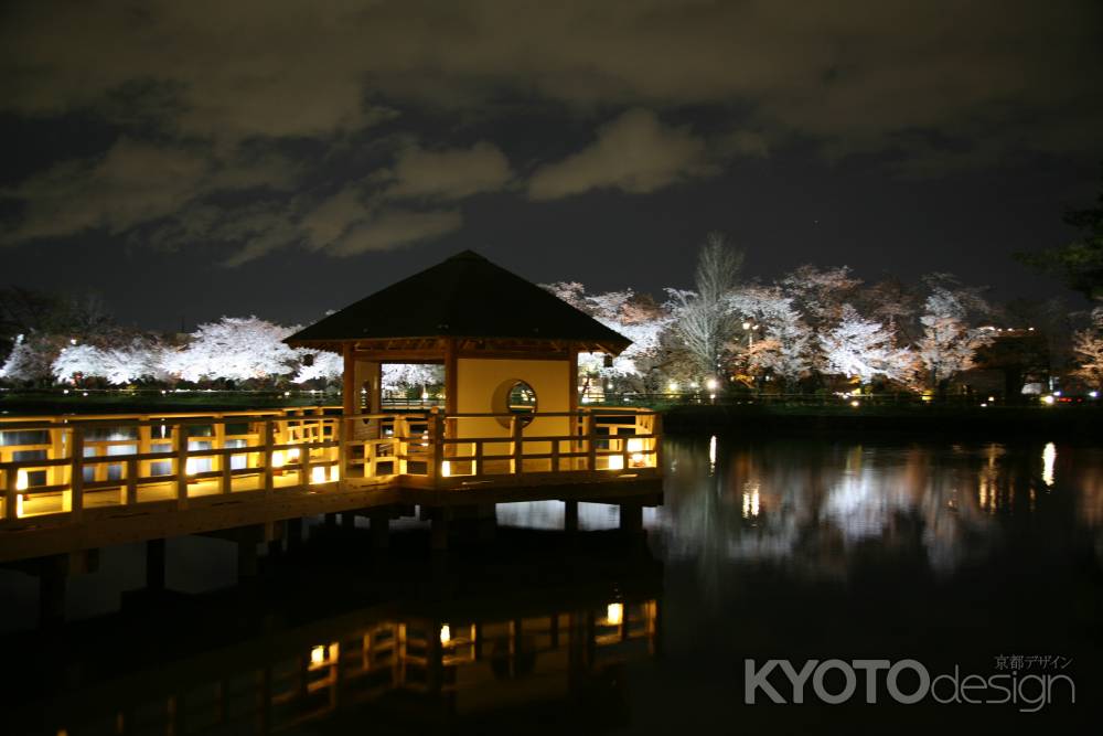 八条ヶ池の桜