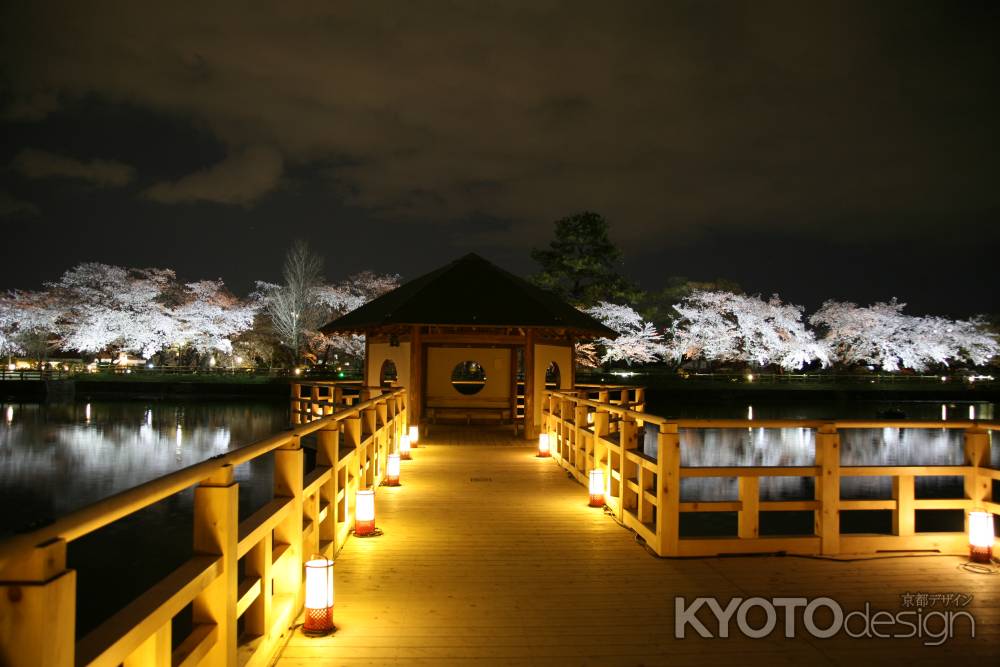 夜桜水鏡 長岡天満宮