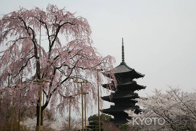 東寺