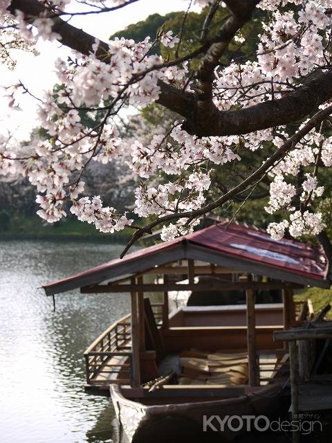 大覚寺　大沢の池