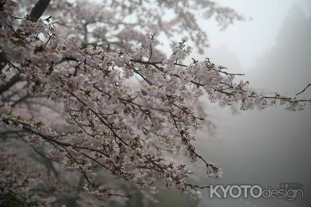 霧の比叡山