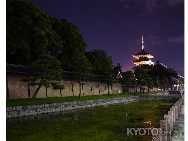 東寺夜景