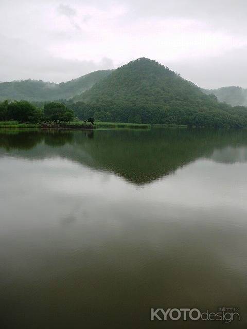 雨の広沢の池