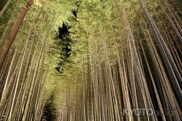 嵐山花灯路