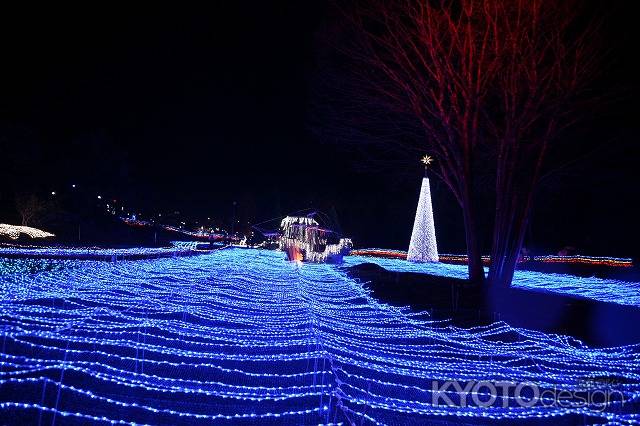 京都イルミエール　海