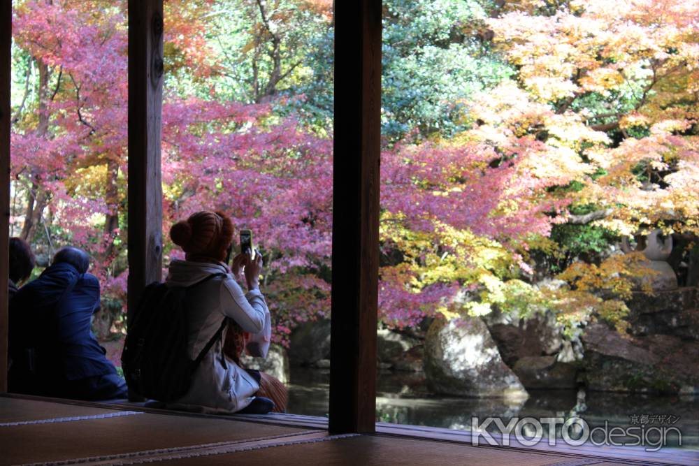 蓮華寺の紅葉