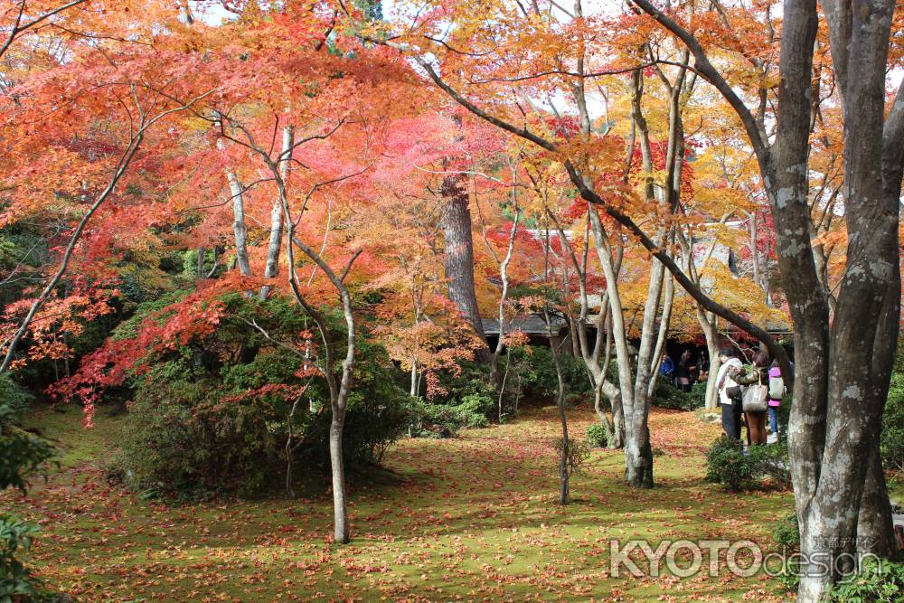 大河内山荘　紅葉狩り4