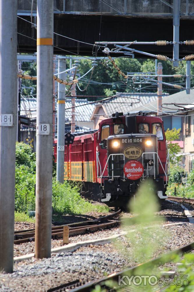 トロッコ列車シャッタ－チャンス