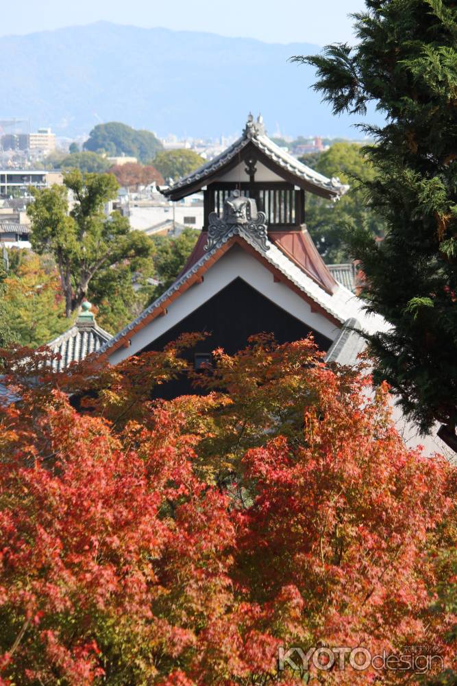 天龍寺の紅葉