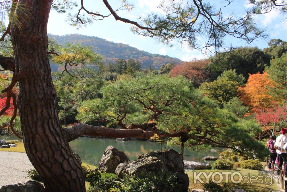 天龍寺の借景