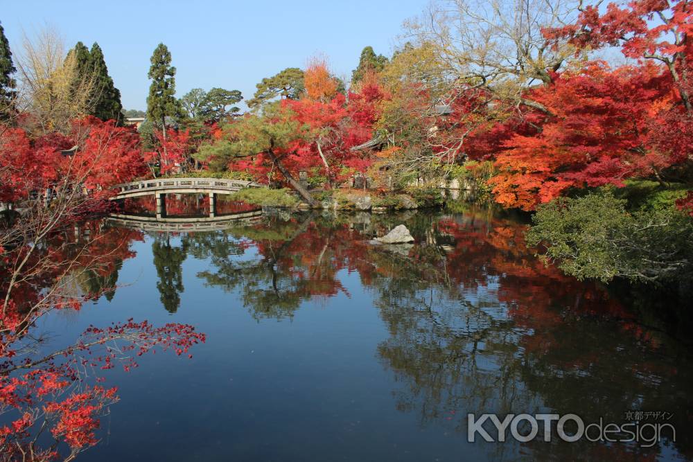 永観堂の紅葉5