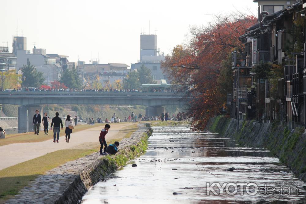 鴨川河川敷