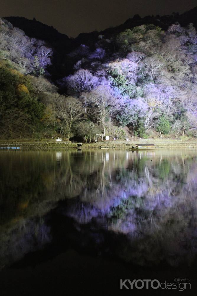 京都嵐山花灯路2014-2