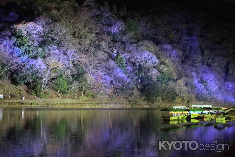 京都嵐山花灯路2014-6