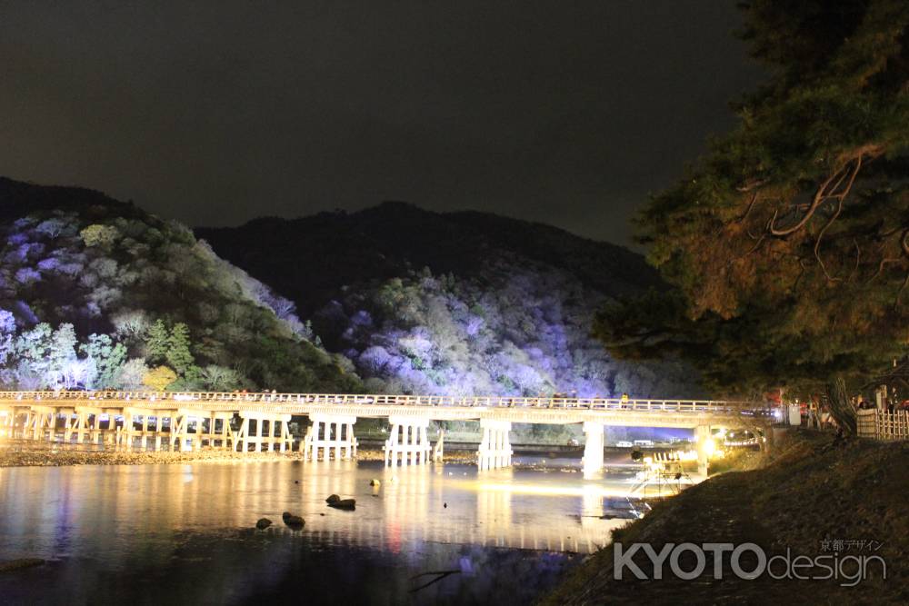 京都嵐山花灯路2014-11