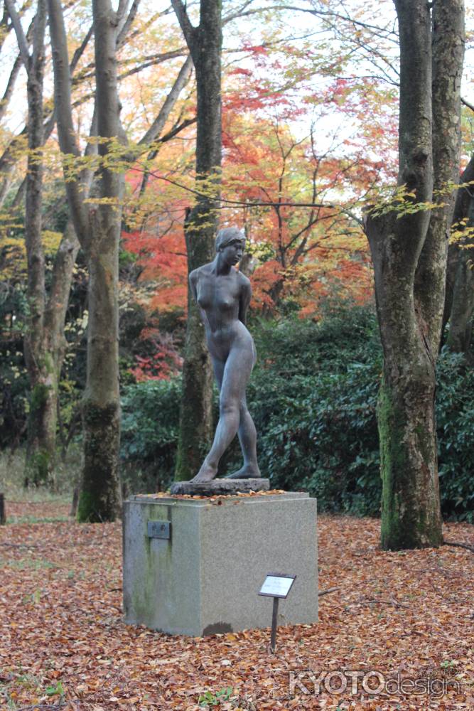 京都府立植物園-1