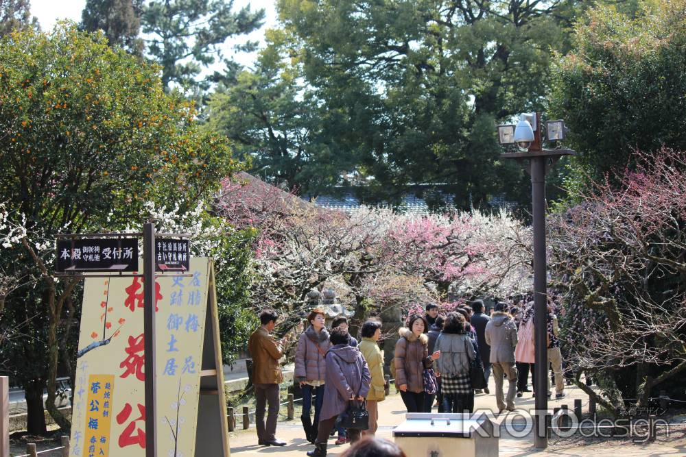 北野天満宮　梅林