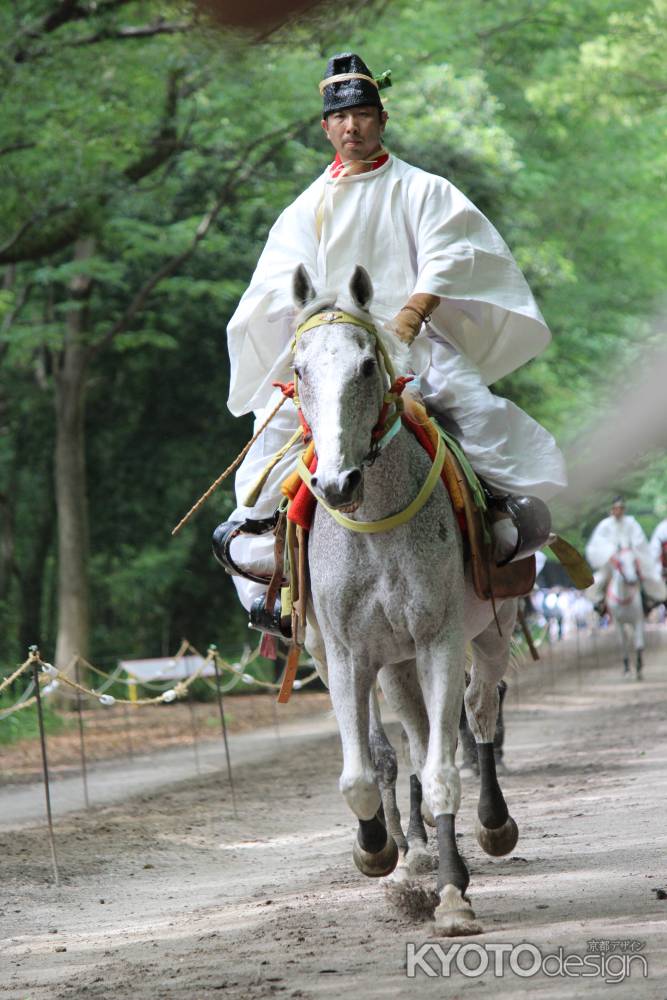 葵祭　下鴨神社糺の森