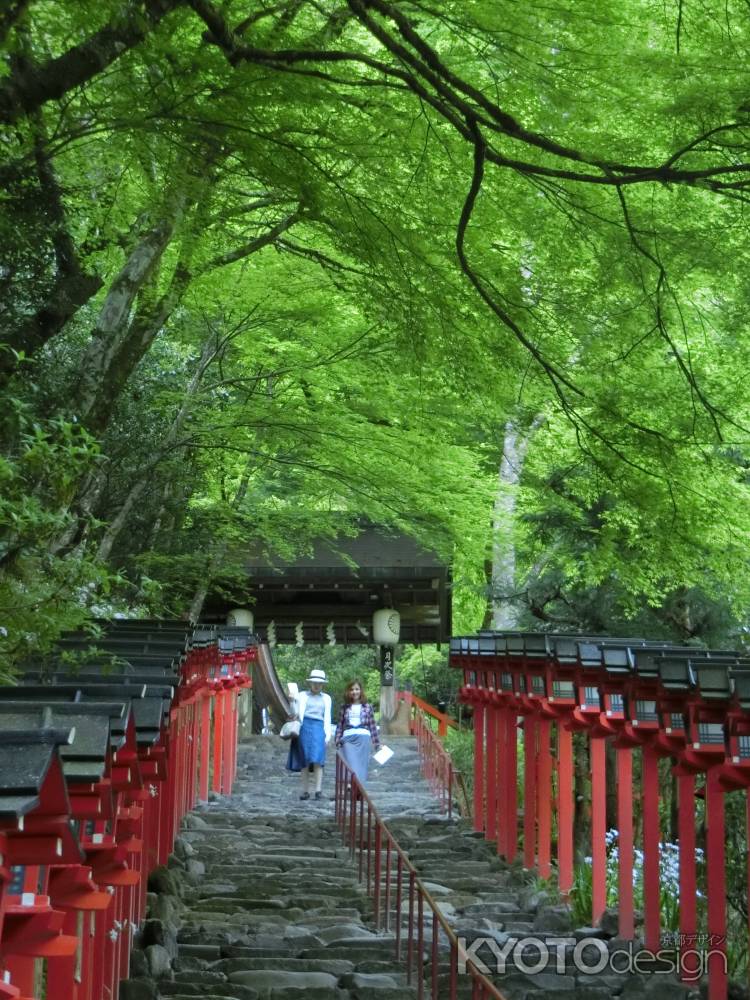 新緑に覆われる 貴船神社