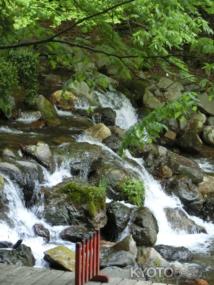 貴船神社　貴船川