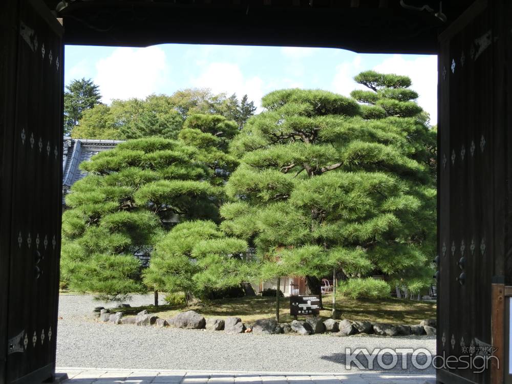 京都御所一般公開の日 閑院宮邸跡
