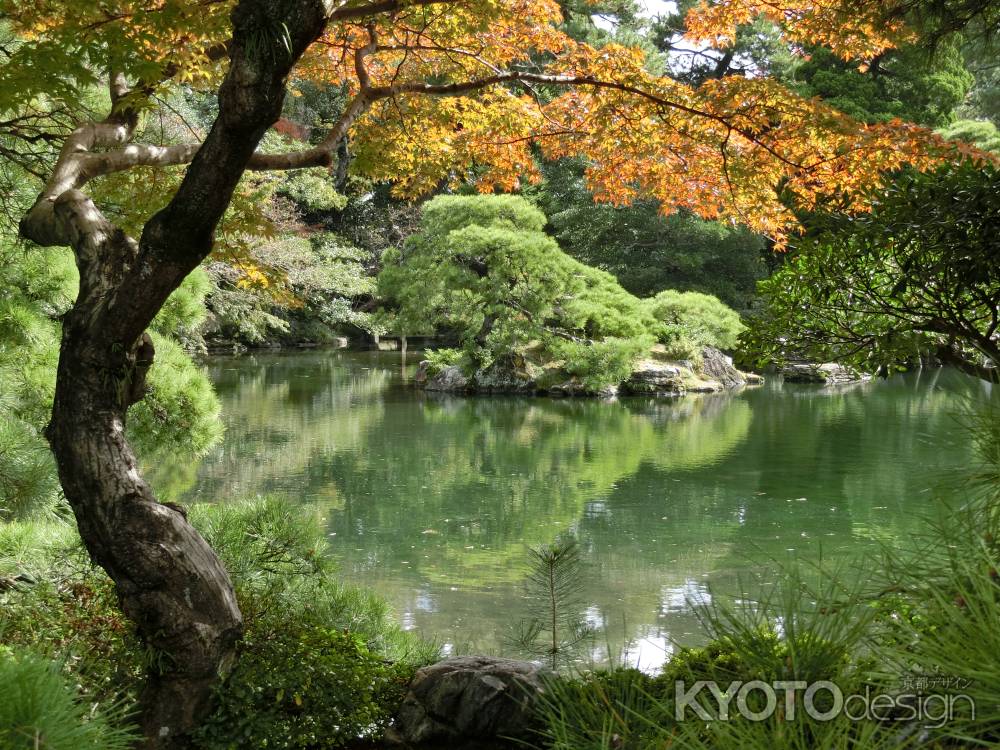 秋の京都御所一般公開5