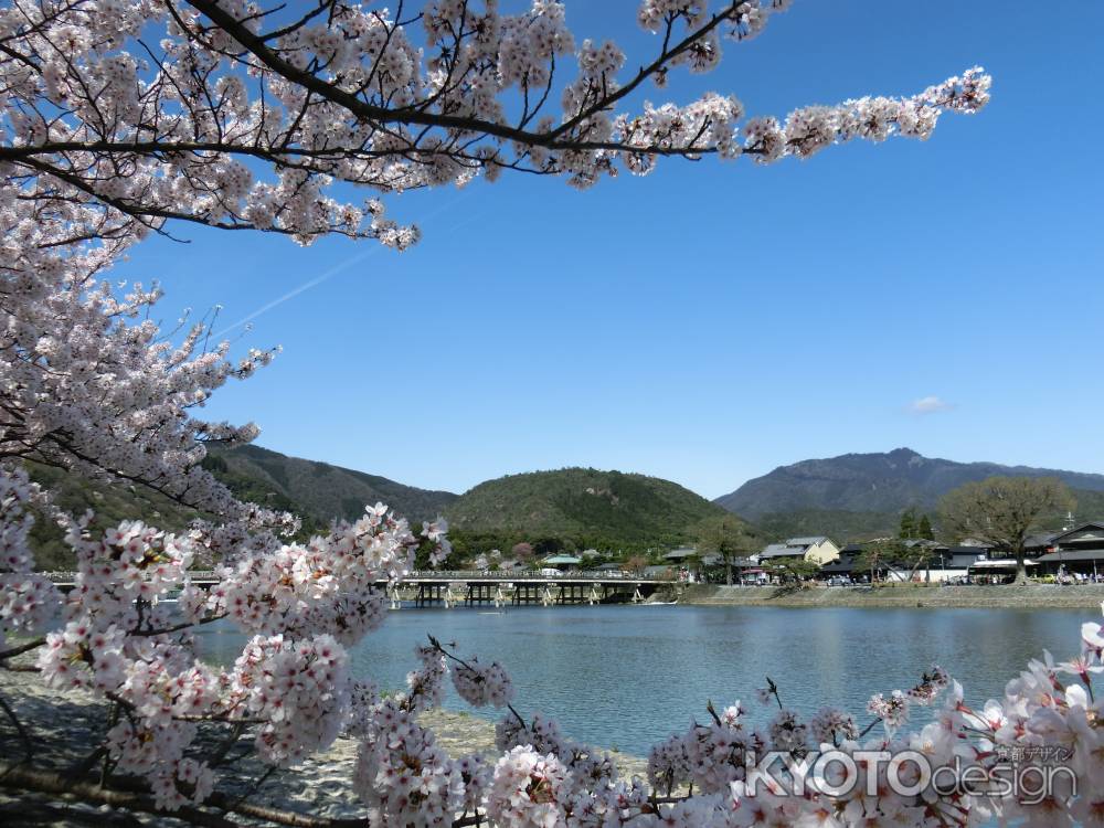 春の嵐山公園