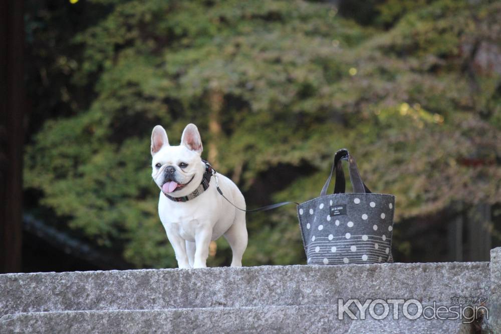 嵐山　虚空蔵法輪寺4