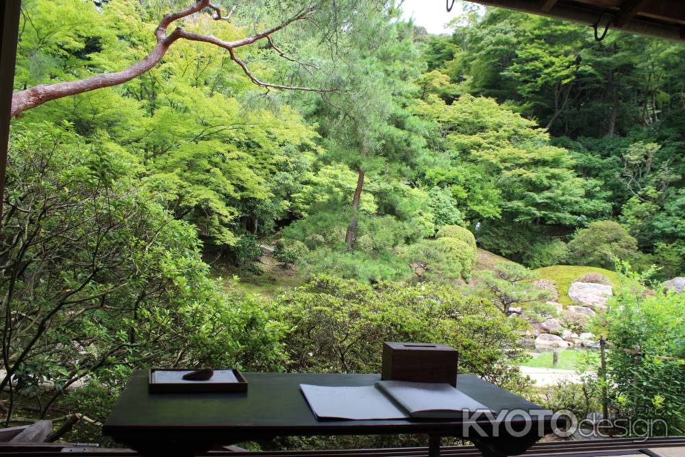 青蓮院　庭園を臨む１