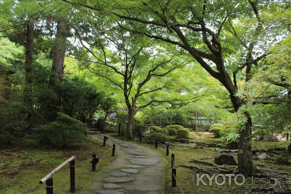 青蓮院　庭園１