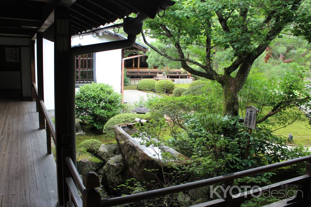 青蓮院　庭園２