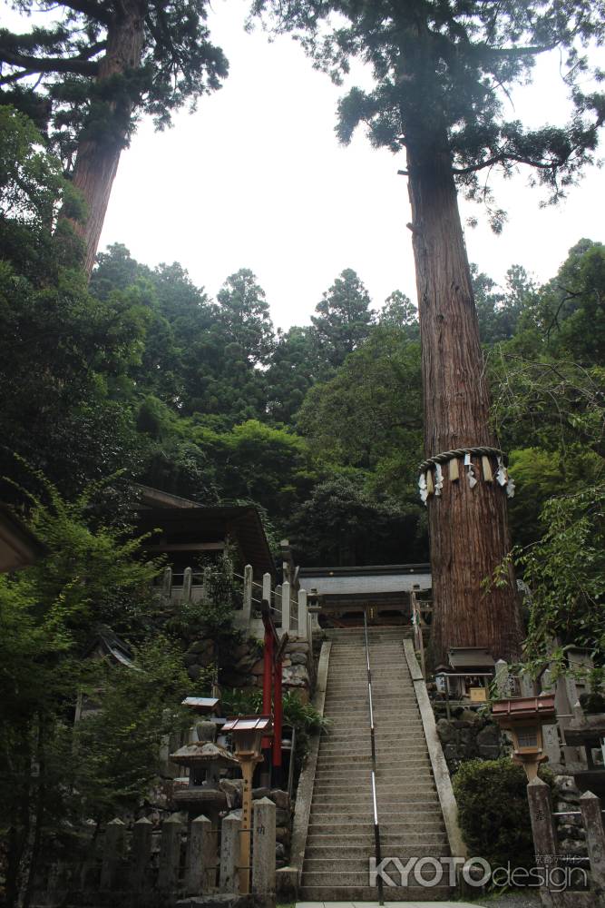 鞍馬寺　石段