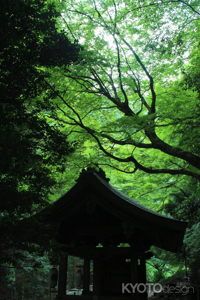 鞍馬寺　境内１