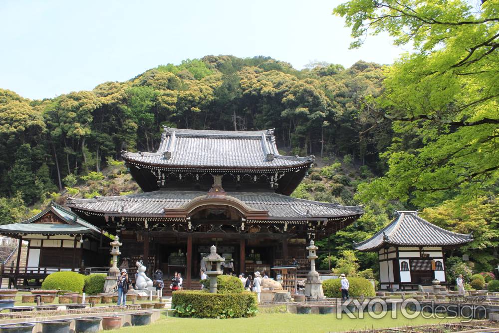 三室戸寺 本堂