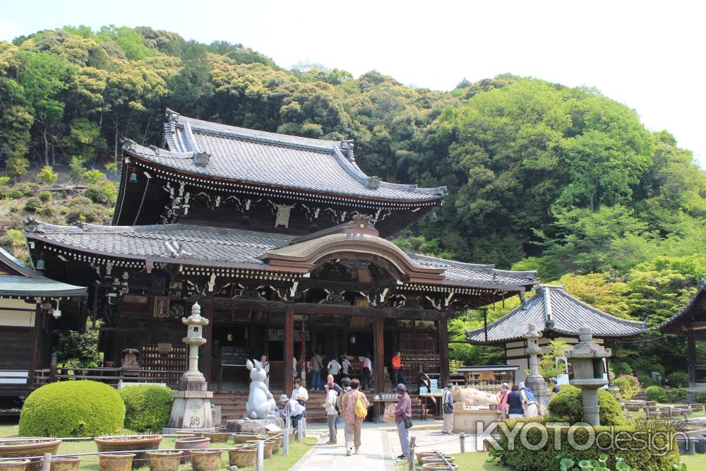 三室戸寺の新緑