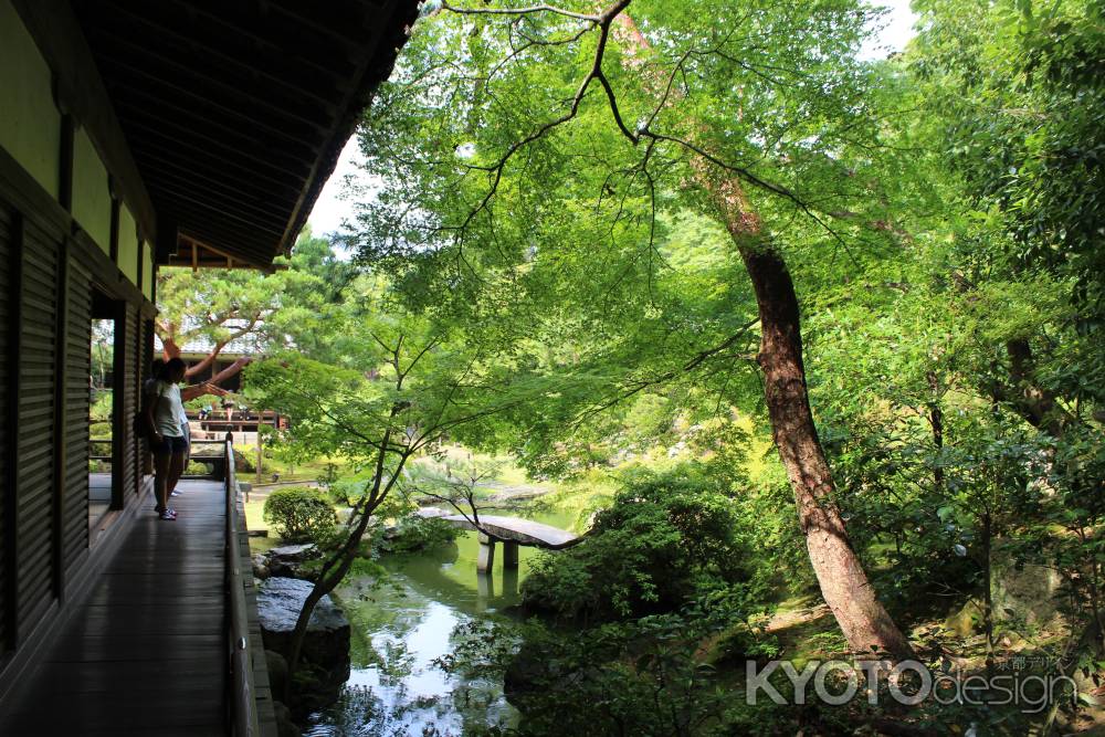 青蓮院　庭園