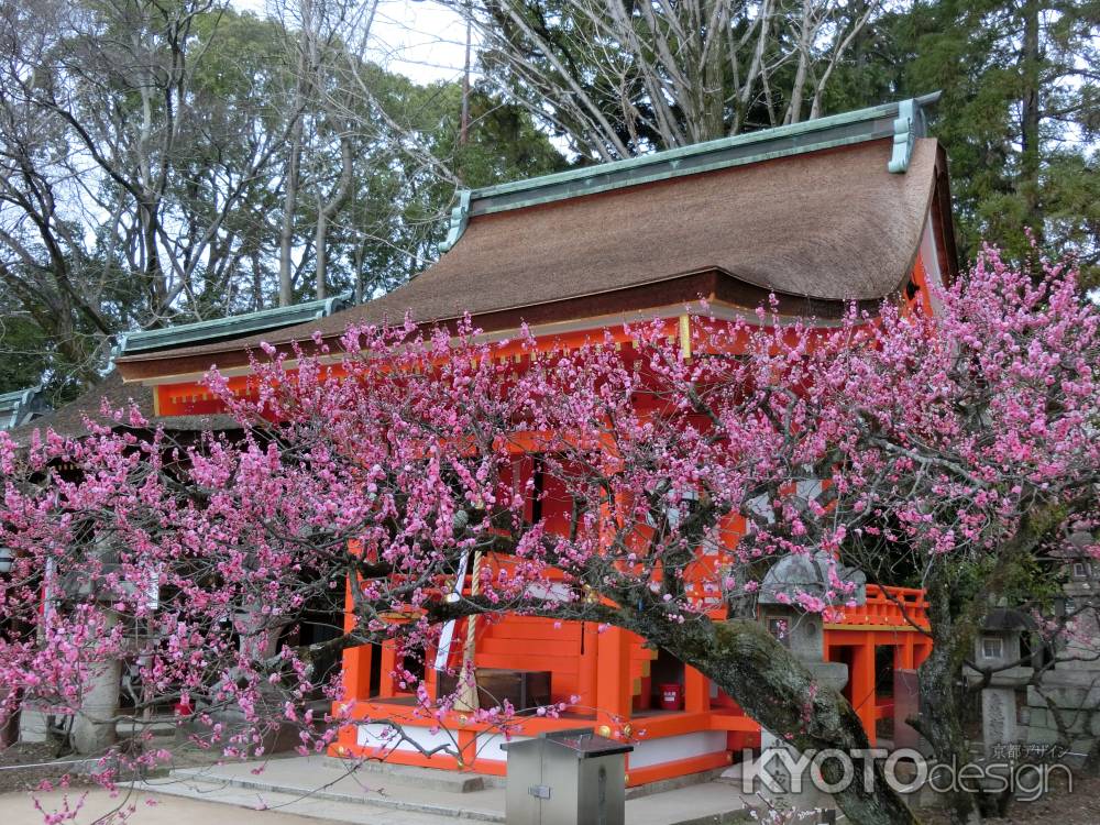 北野天満宮