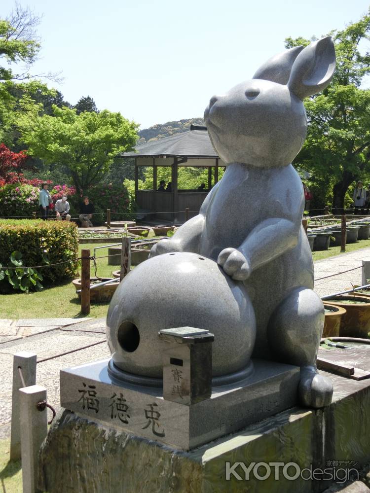 三室戸寺　福徳兎